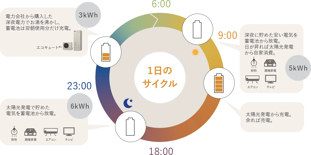 1日のサイクル