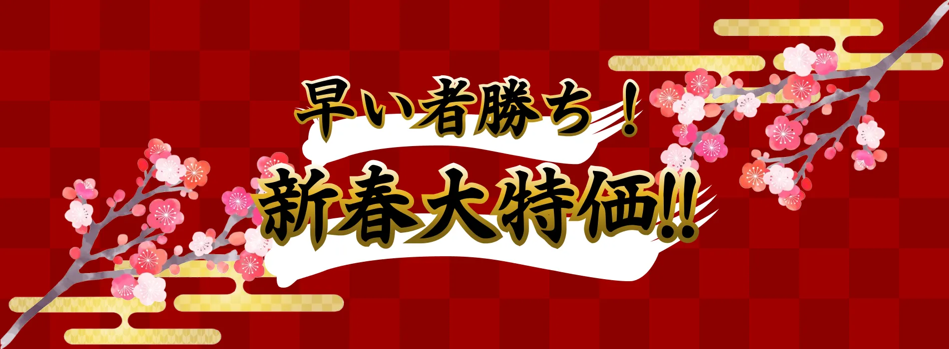 早い者勝ち!新春大特価!