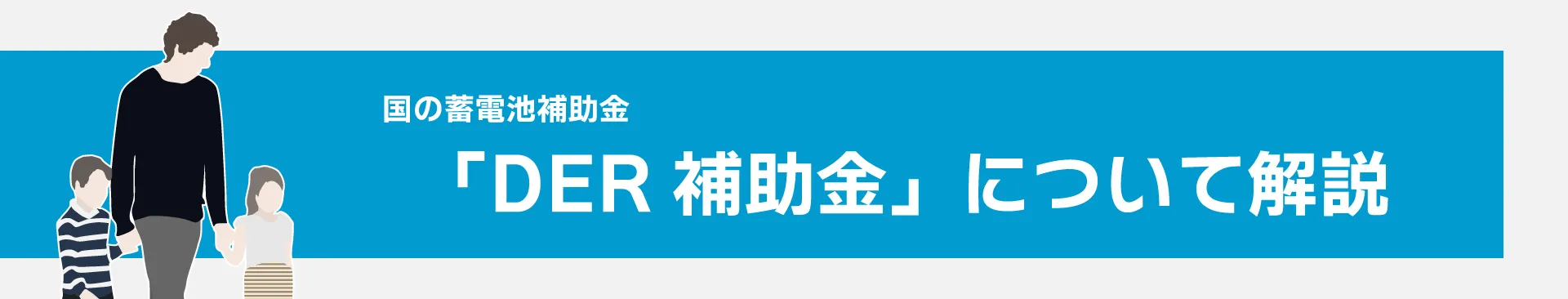 「DER補助金」について解説