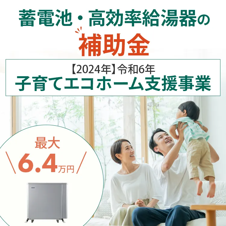 令和6年度DR補助金について徹底解説