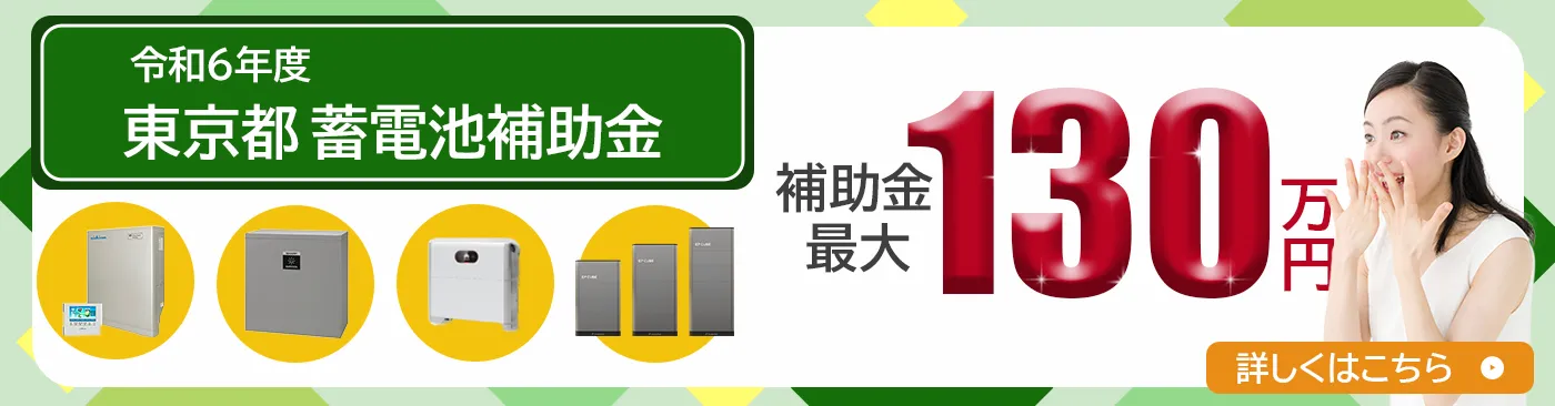 2024年度（令和6年度）東京都蓄電池補助金
