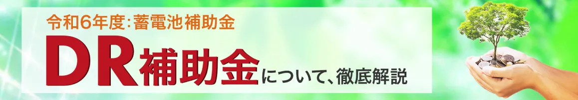 DRの補助金について詳しくみる