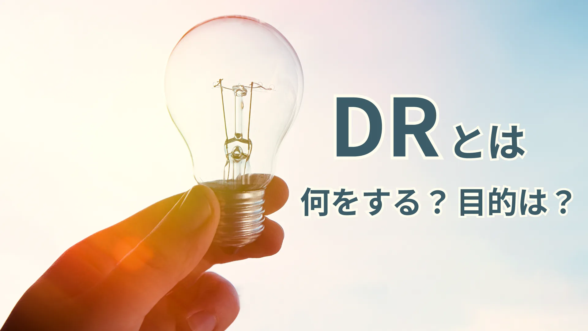 DR補助金についての概要