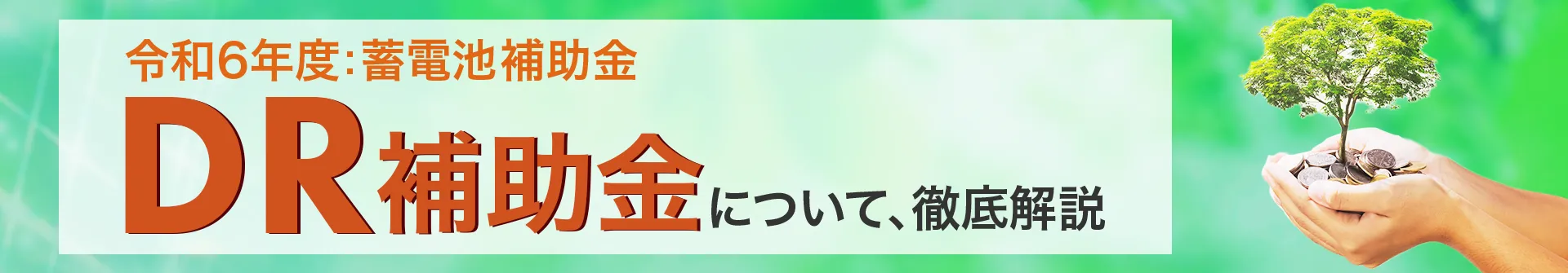 令和6年度のDR補助金について詳しく解説しています。毎年更新あり。