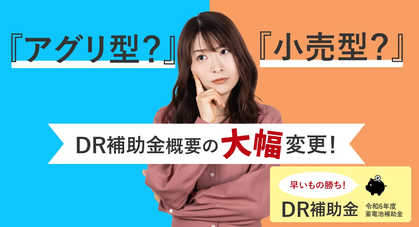 「アグリ型」？「小売型」？DR補助金概要の大幅変更！早いもの勝ち！令和6年度蓄電池補助金