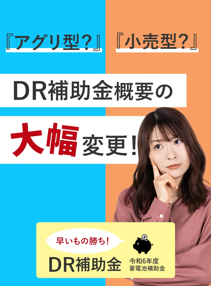 「アグリ型」？「小売型」？DR補助金概要の大幅変更！早いもの勝ち！令和6年度蓄電池補助金