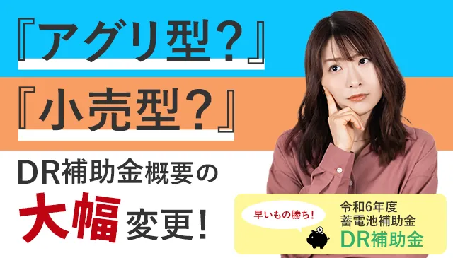 2024年（令和6年度）の経済産業省が主導する蓄電池の補助金(国)「DR補助金」について