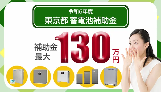 2024年（令和6年）東京都蓄電池補助金